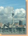 01 NZ.jpg